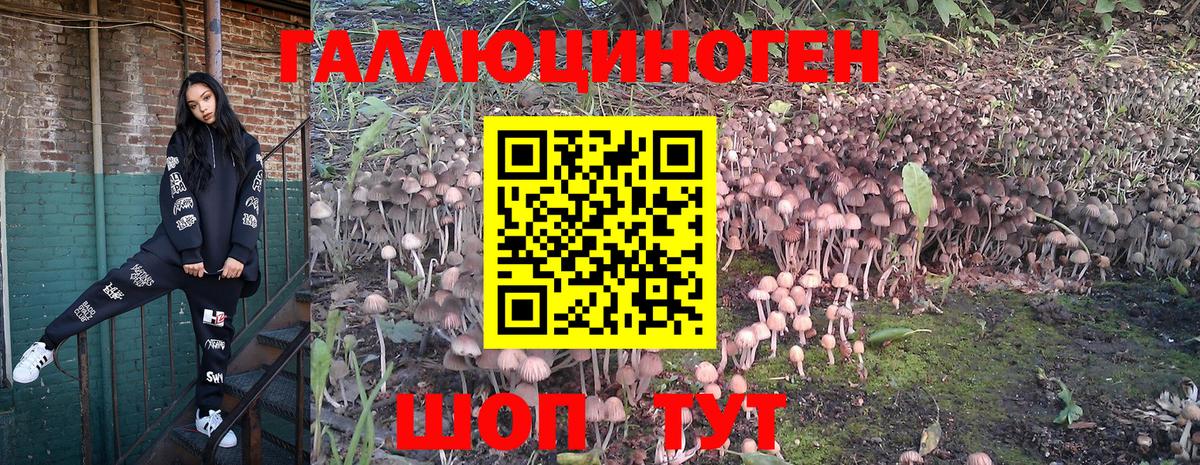 Галлюциногенные грибы GOLDEN TEACHER  Вход с VPN  Галлюциногенные грибы мицелий  Нововоронеж 